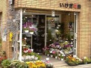 「池田花店」　（埼玉県桶川市）の花屋店舗写真1